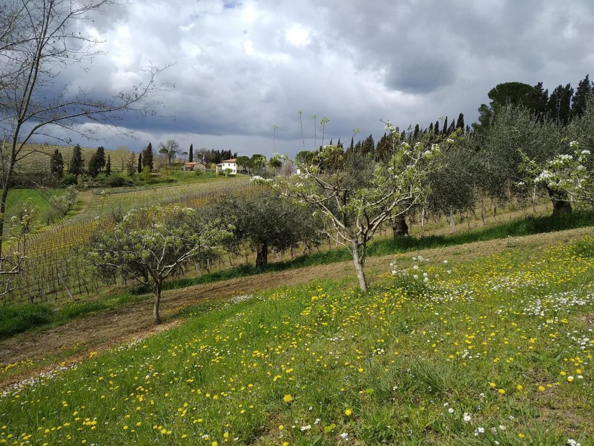 Agriturismo Ca'De'Gatti Faenza Buitenkant foto