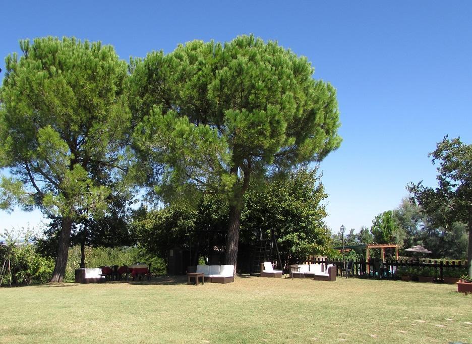 Agriturismo Ca'De'Gatti Faenza Buitenkant foto