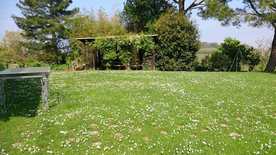 Agriturismo Ca'De'Gatti Faenza Buitenkant foto