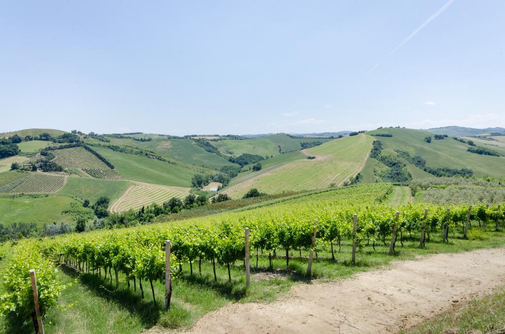 Agriturismo Ca'De'Gatti Faenza Buitenkant foto