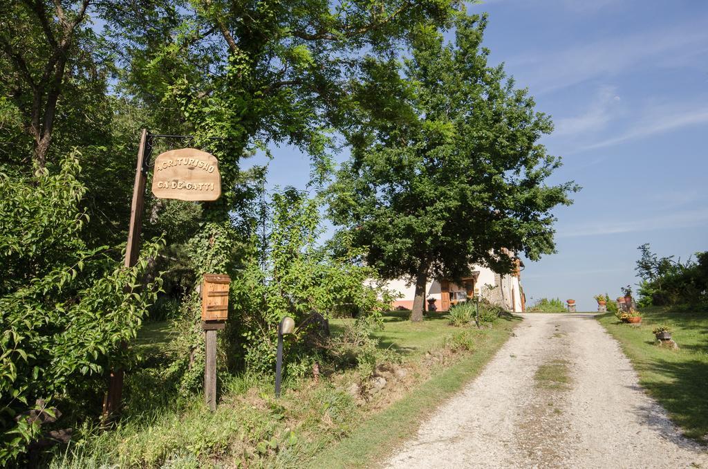 Agriturismo Ca'De'Gatti Faenza Buitenkant foto