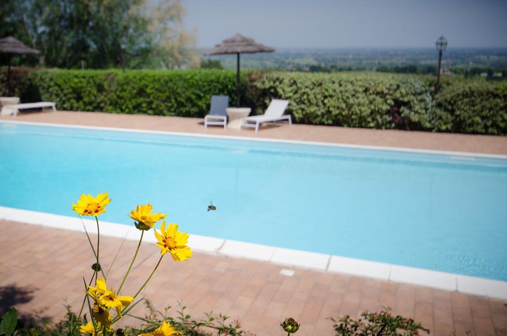 Agriturismo Ca'De'Gatti Faenza Buitenkant foto