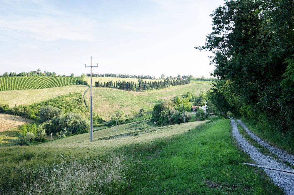 Agriturismo Ca'De'Gatti Faenza Buitenkant foto
