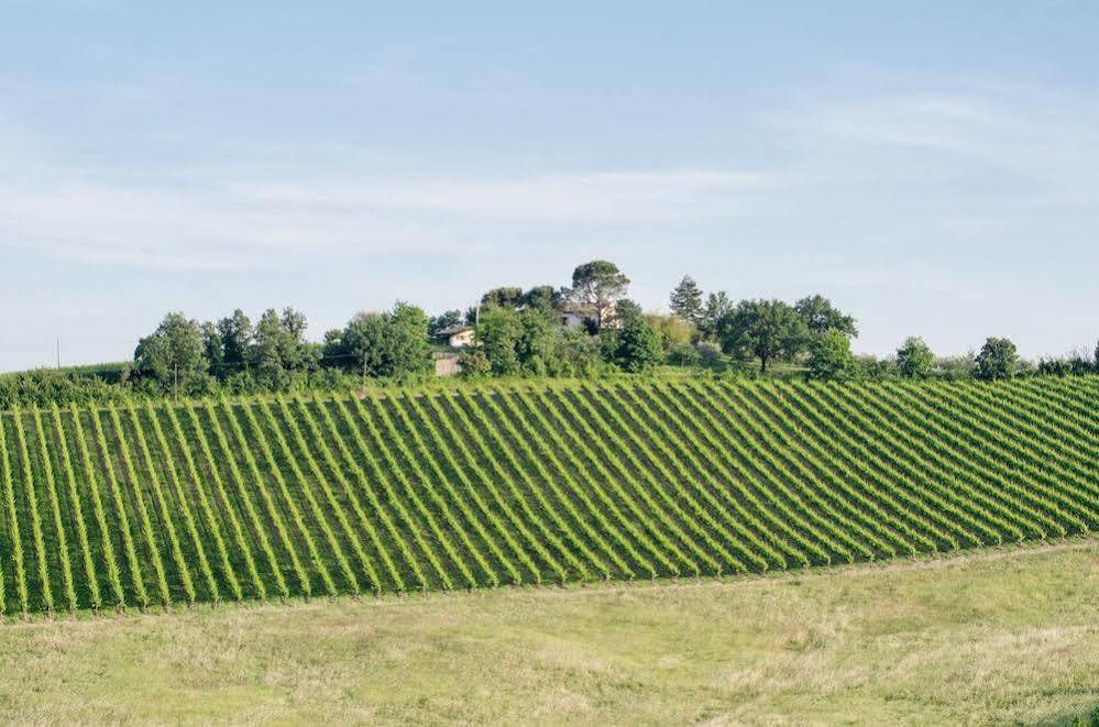 Agriturismo Ca'De'Gatti Faenza Buitenkant foto